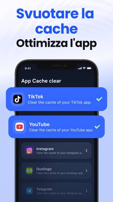 Phone Cleaner: Städ App App skärmdump