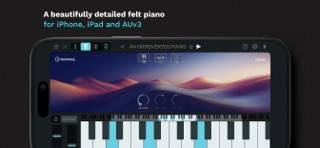 Verve - Felt Piano App & AUv3 immagine dello schermo