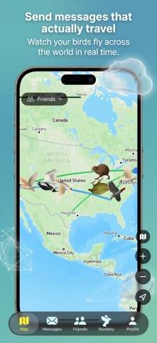 Roost Social Schermata dell'app