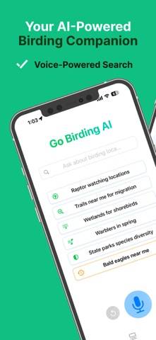 Go Birding AI