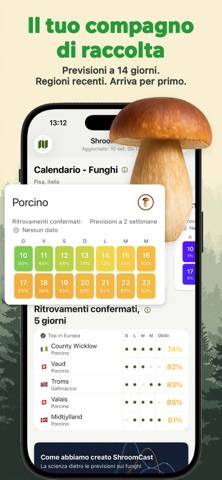 ShroomCast: Pilzprognose