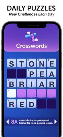 Daily Wordplay screenshot