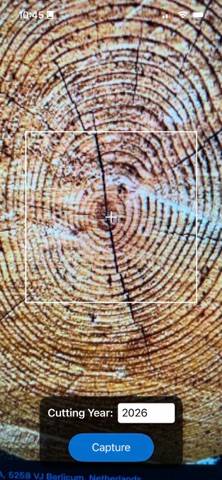 TreeRings
