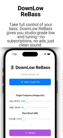 DownLow ReBass