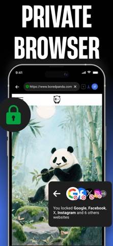 Navigateur privé Capture d'écran de l'application