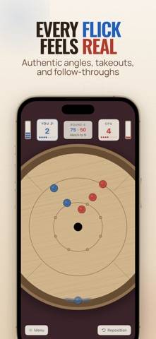 Crokinole 2D