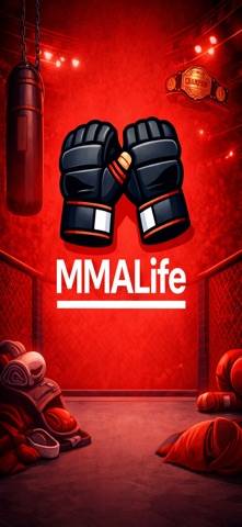 MMALife - MMA Life Simulator screenshot
