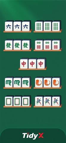 Тайди X (Tidy X) скриншот игры