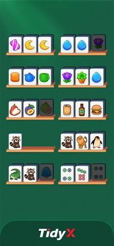 Тайди X (Tidy X) скриншот игры