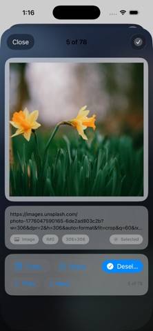 SourceExtract Captura de pantalla de la aplicación