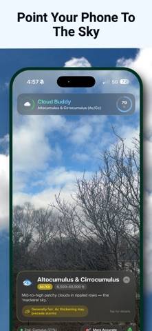 Cloud Buddy - Cloud Identifier