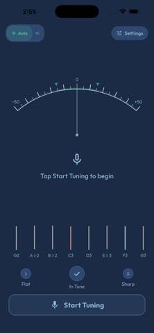 Harpie – Harp Tuner Capture d'écran de l'application