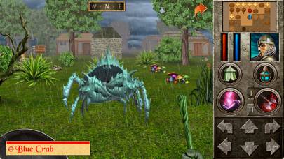 The Quest - Abyssal Islands