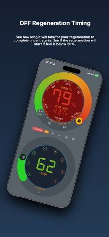 DPF Companion Schermata dell'app