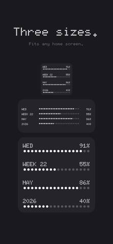 DOTS:. Year Progress capture d'écran