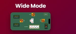 Just Euchre game screenshot