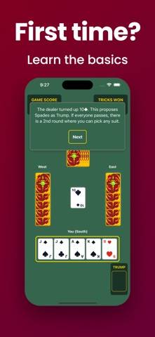 Just Euchre game screenshot