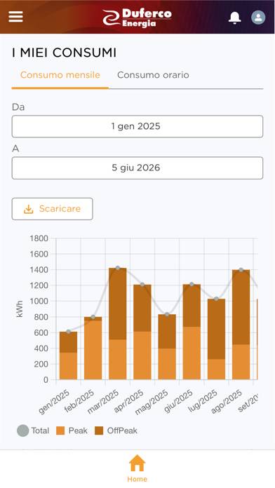 Duferco Energia – Area Clienti immagine dello schermo #2
