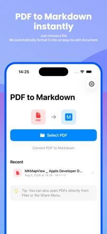 PDF to Markdown Converter captura de pantalla