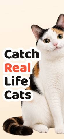Cat Collector: De vrais chats