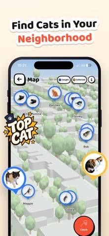 Cat Collector: Catch Real Cats game screenshot