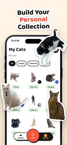 Cat Collector: Catch Real Cats game screenshot