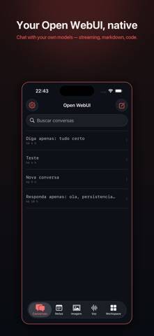 OpenWebUI screenshot #2