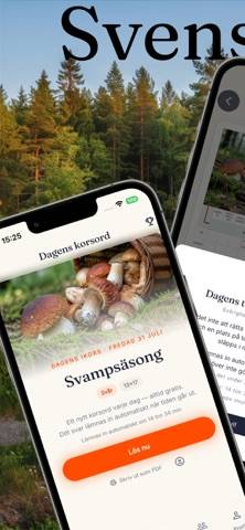 iKors: Svenska Korsord & Kryss skärmdump