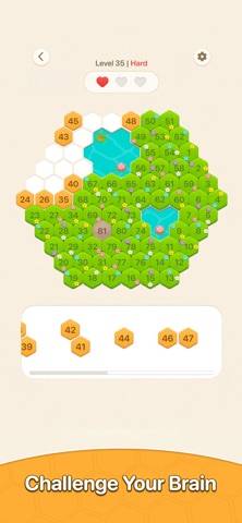 HexaDoku capture d'écran du jeu