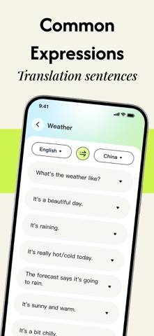 Translate Genie Capture d'écran de l'application