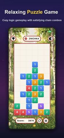 Znichka: Match Numbers Puzzle game screenshot
