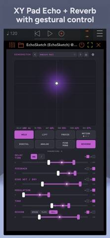 EchoSketch: Performance Delay