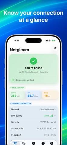 Netgleam • Network Check Capture d'écran de l'application