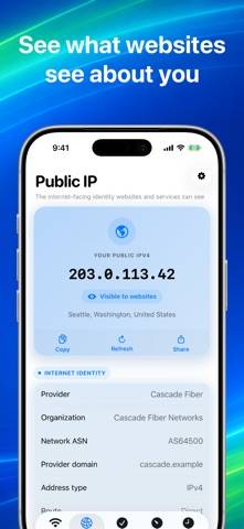 Netgleam • Network Check Capture d'écran de l'application