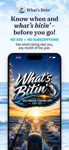 What's Bitin'