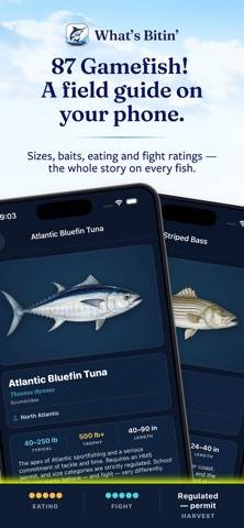 What's Bitin' App screenshot