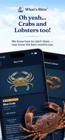 What's Bitin' App screenshot