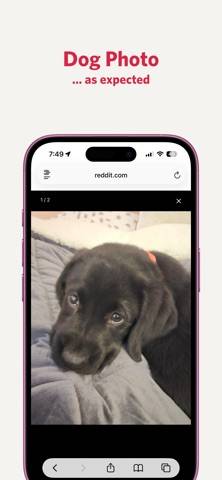 Wallflower App-Screenshot