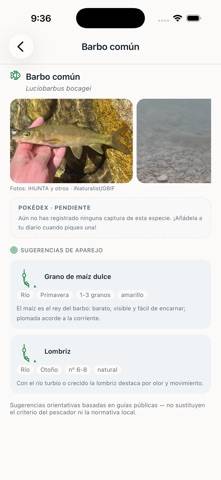 Sedal Captura de pantalla de la aplicación