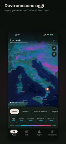 Gljivar — previsioni funghi immagine dello schermo