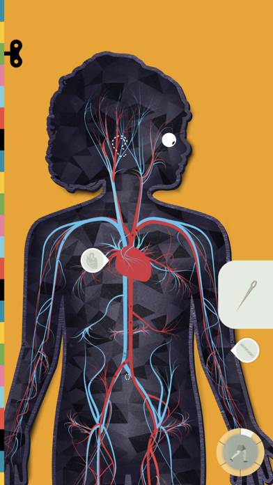 The Human Body by Tinybop Schermata dell'app #4