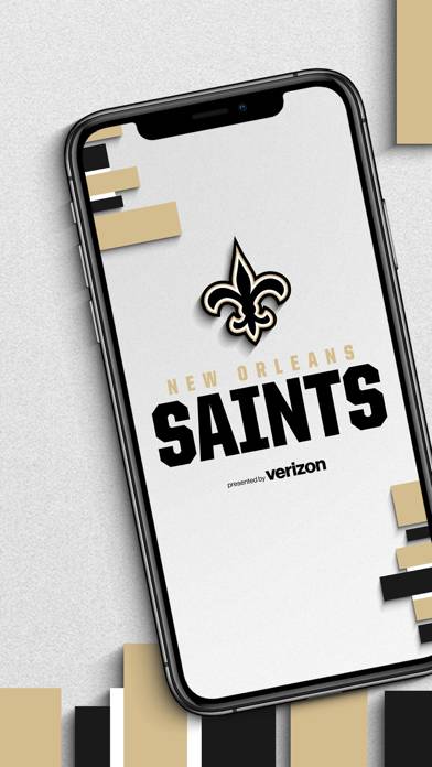 New Orleans Saints screenshot