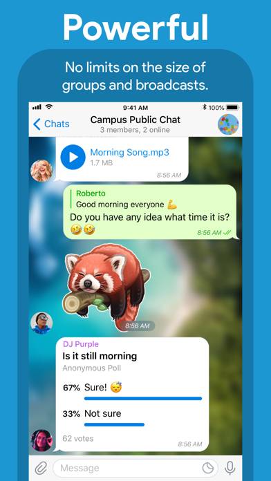 Telegram Messenger screenshot #2