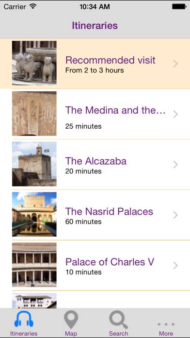 Alhambra & Generalife App screenshot #5