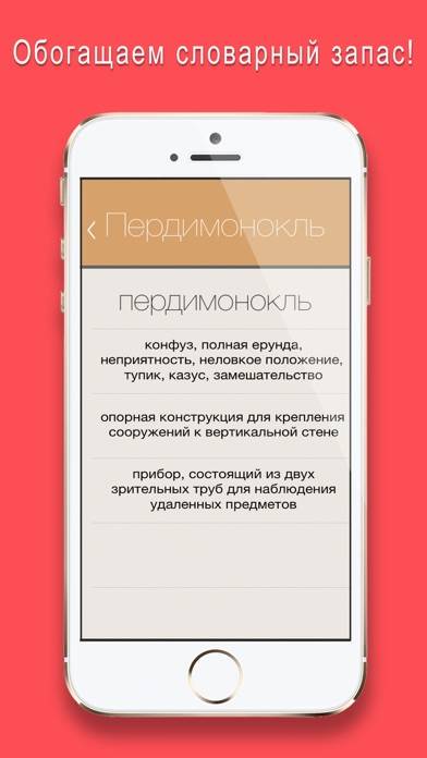 Отличник по русскому 6 в 1 Скриншот приложения #5