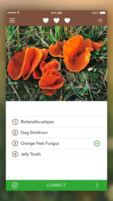 Mushroom LITE App screenshot #5