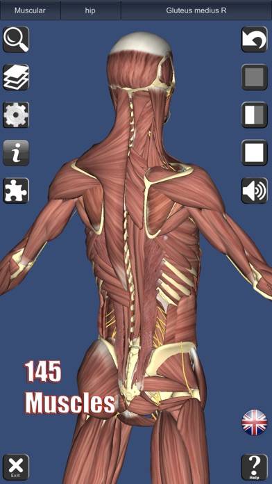 3D Anatomy Schermata dell'app #1