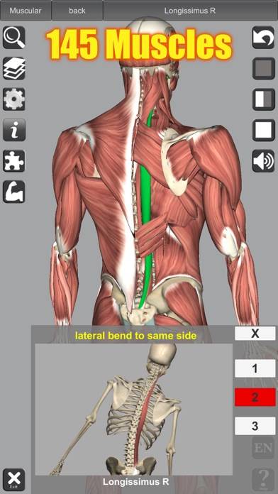 3D Anatomy Capture d'écran de l'application #2