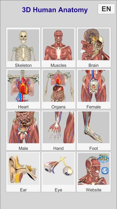 3D Anatomy Capture d'écran de l'application #3