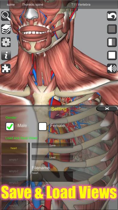 3D Anatomy Schermata dell'app #4